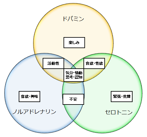 抗うつ剤の神経伝達物質と症状の関係についてグラフでまとめました。