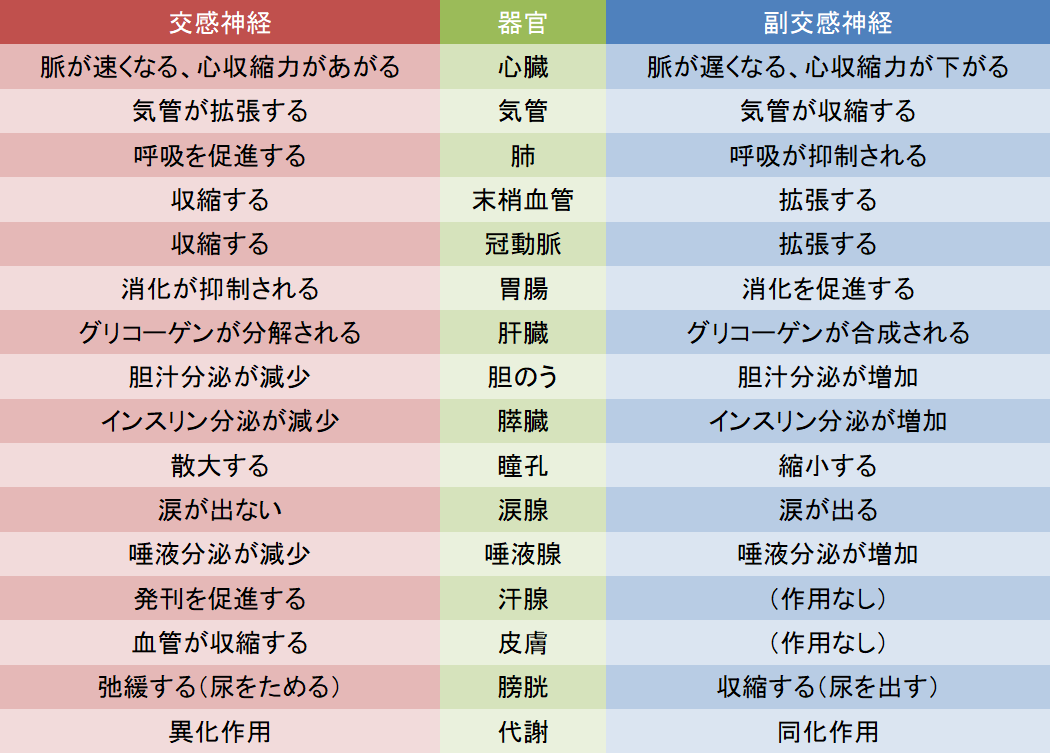 Amazon.co.jp: 自律神経機能検査 : 日本自律神経学会: 本