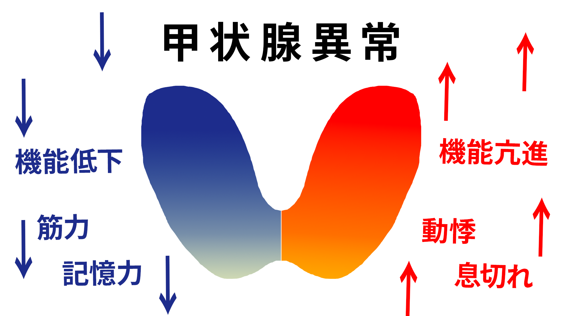 甲状腺異常の簡単解説イラスト